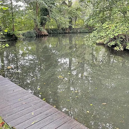 Daire Holzfaeller Baum 2 *