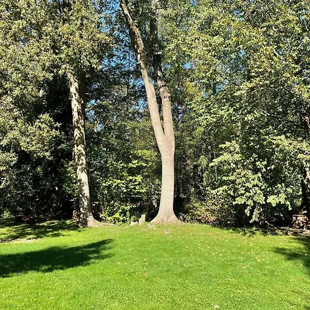 Holzfaeller Baum 2 *