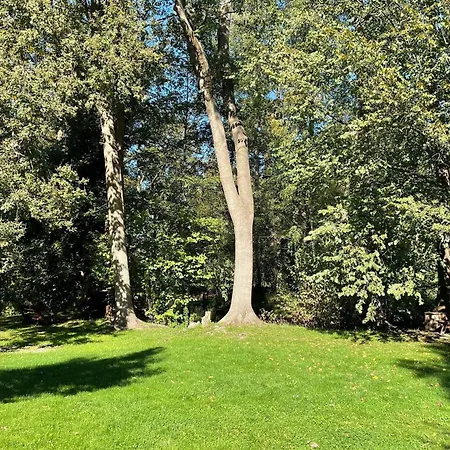 Holzfaeller Baum 2