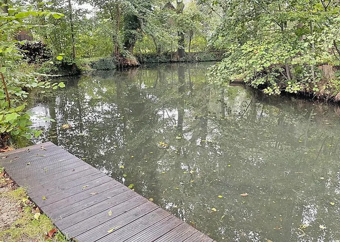 Daire Holzfaeller Baum 2 *